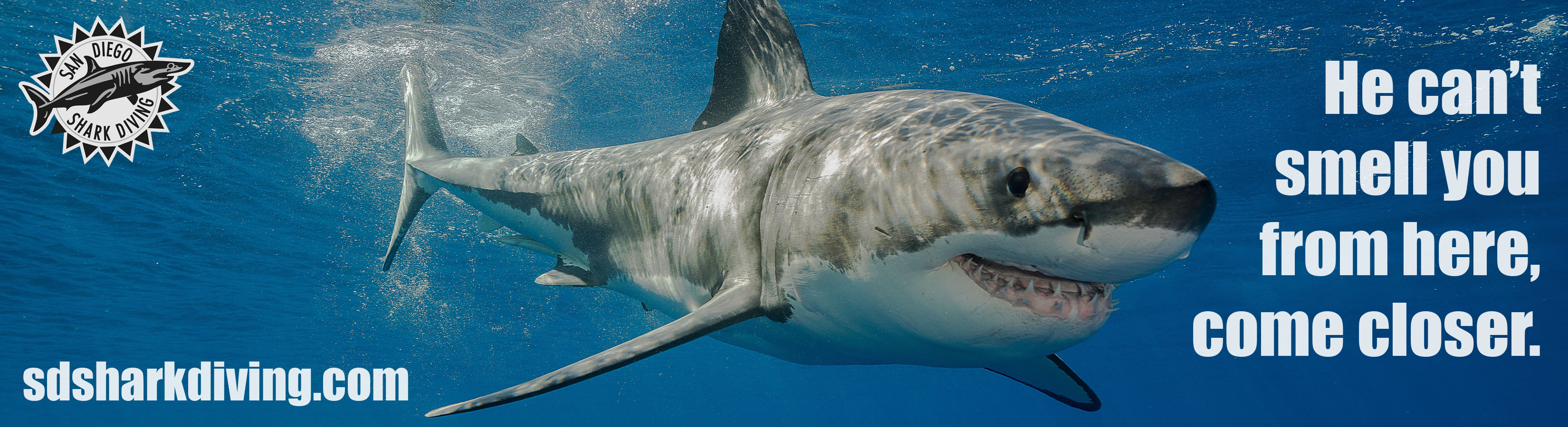 San Diego Shark Diving billboard — He can't smell you from here, come closer
